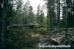 Hellernsteinen