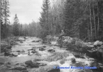 Skådammen Rotua