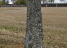 Kulturminner
